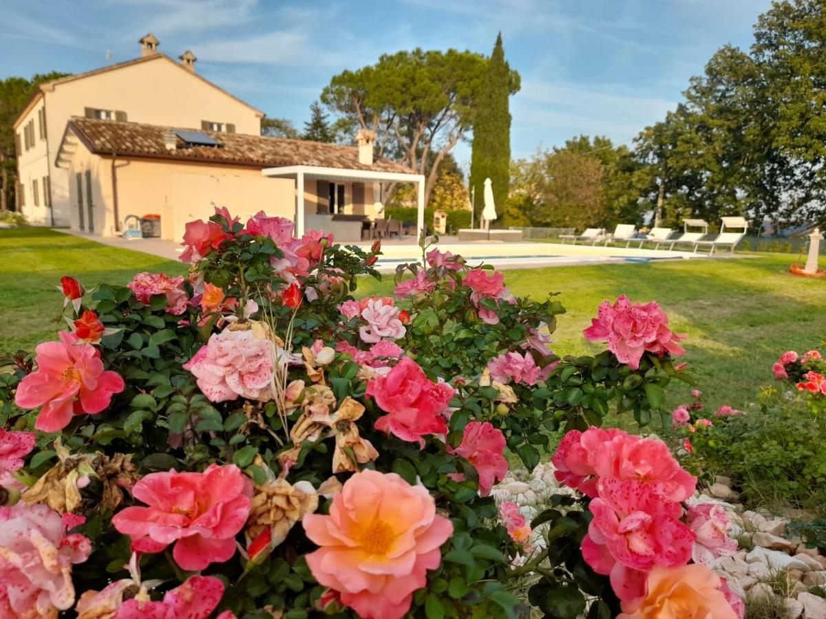 Calcinelli Relais Villa Sofia מראה חיצוני תמונה
